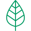 Whatistheplant | AI Plant Identifier Online